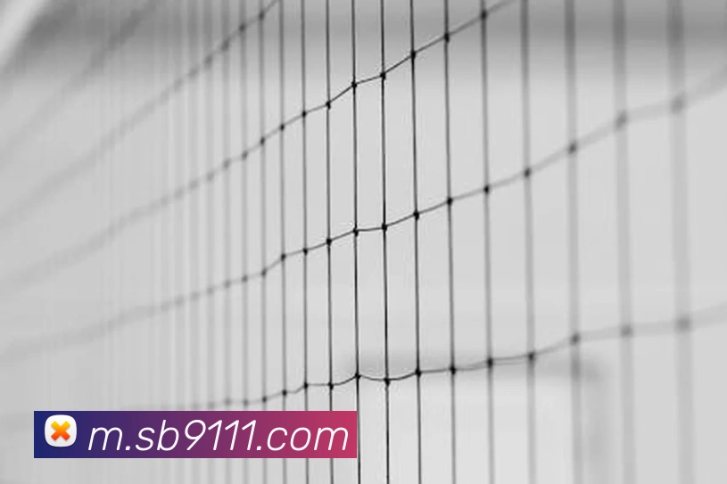体育赛事直播